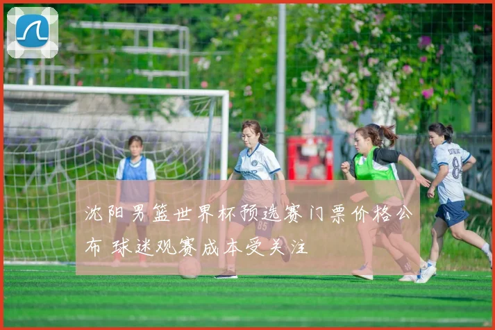 沈阳男篮世界杯预选赛门票价格公布 球迷观赛成本受关注