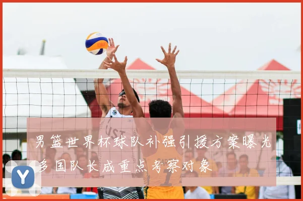 男篮世界杯球队补强引援方案曝光 多国队长成重点考察对象